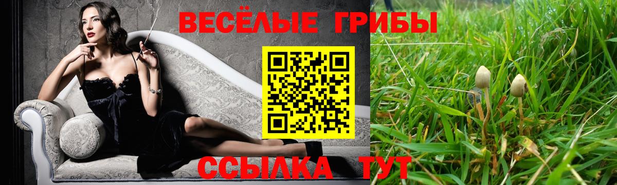 Моздок  Псилоцибиновые грибы ЛСД  Вход с VPN 