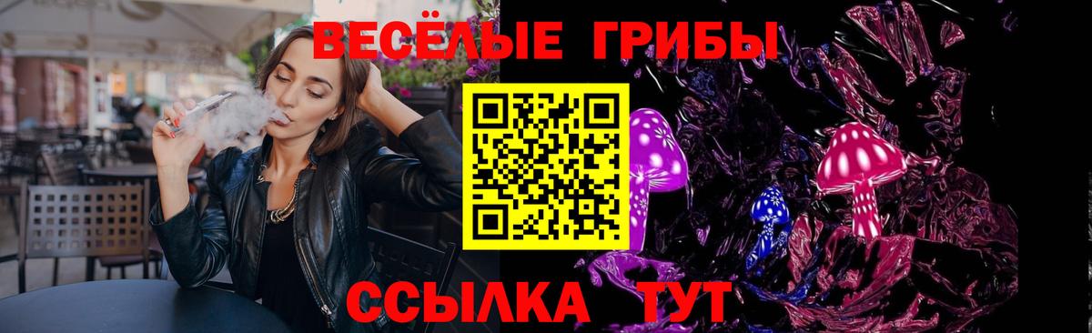 Псилоцибиновые грибы GOLDEN TEACHER Моздок