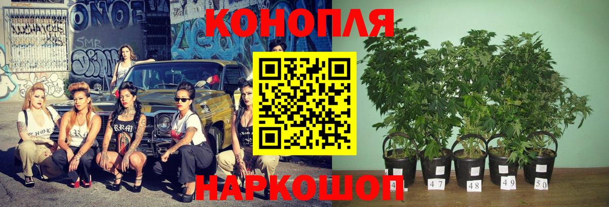 Конопля индика Моздок